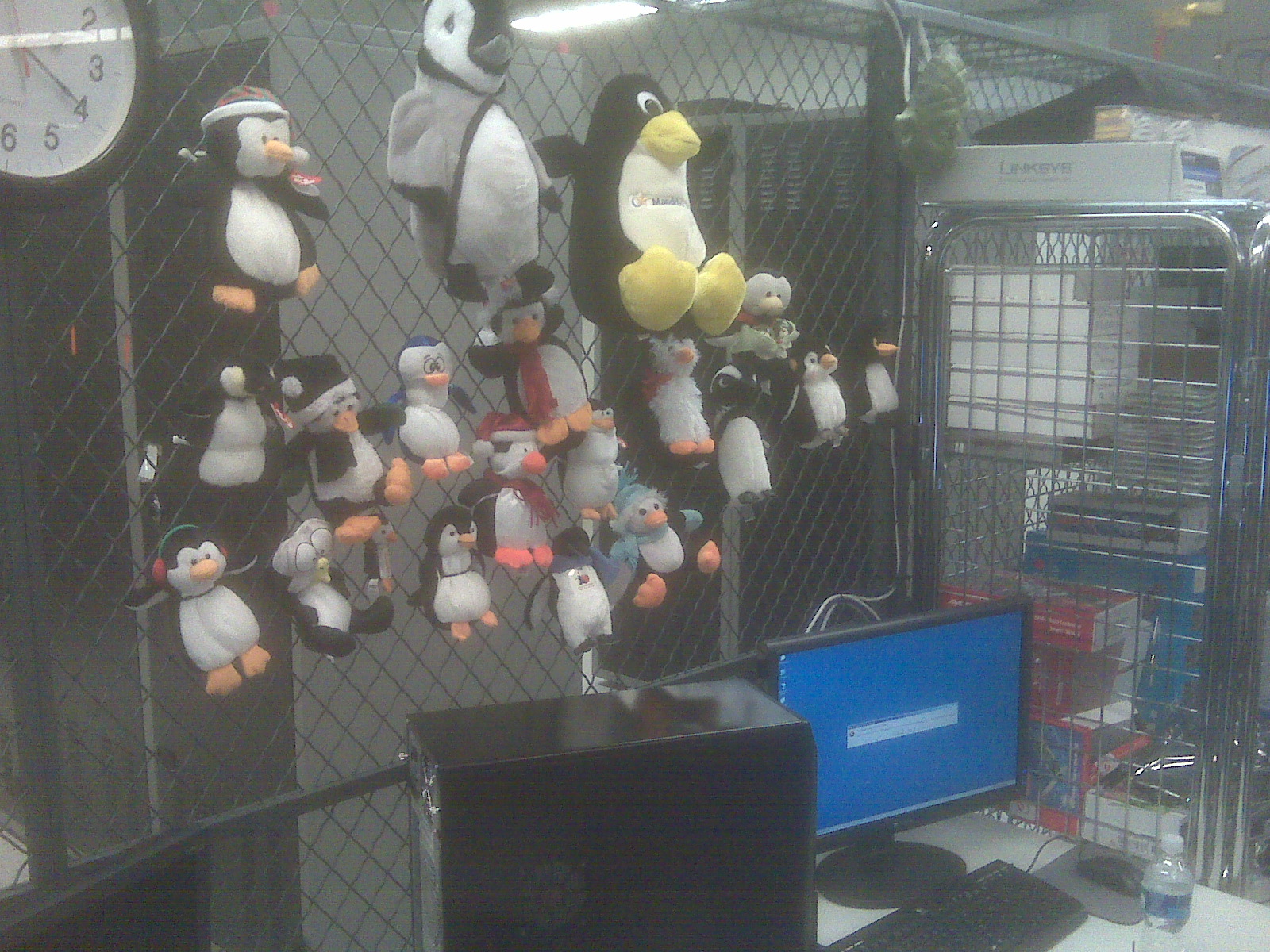 Wall of Penguins!